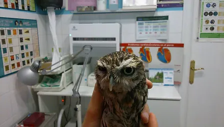 5d9799 00726a378d13472893c4bb7537e74e79